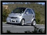 Smart Fortwo, Srebrny