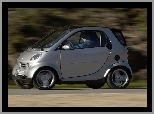 Smart Fortwo, Srebrny