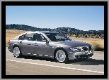 BMW 7, Srebrne, Droga, E65