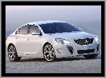 Sylwetka, Buick Regal GS, Sportowa