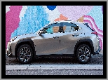 Lexus UX, Bok